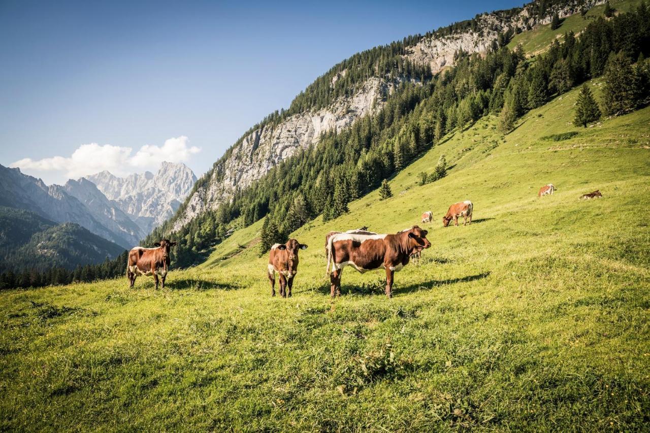 Exklusive Fewo Drachleck Mit 3 Schlafzimmern & Panoramabergblick In Bester Lage Schoenau am Koenigsee Luaran gambar